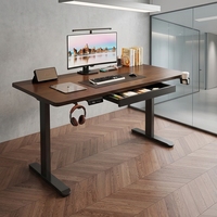 Escritorio Eléctrico Ajustable en Altura con Doble Motor OEM1600*700MM, Escritorio Inteligente para Computadora, Escritorio para Juegos, Escritorio de Oficina, Escritorio para Escribir