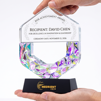 Trophée en cristal diamant arc-en-ciel, formes géométriques multiples, récompense pour les champions des ventes des partenaires d'entreprise, nouveauté très demandée