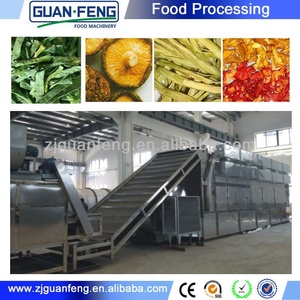 Deshidratador de verduras y frutas, máquina de secado de <span class=keywords><strong>mango</strong></span>, maquinaria de procesamiento de alimentos, gran oferta - Product Image 5