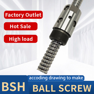 Tùy chỉnh thực hiện bóng vít C5 C7 bsh1002 bsh1004 bsh1204 bsh1605 bsh1610 với Nut & không có mặt bích cho xi lanh điện - Product Image 2