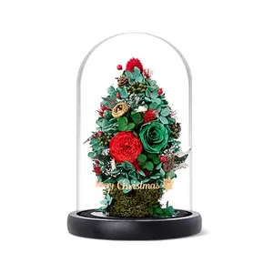 Christmas Gift For Girlfriend 2024 Austin Rose Preserved and Preserved Hydrangea In Glass Dome Preserved Flower Rose Glass Dome