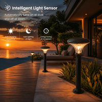 Lampes solaires LED IP65 pour jardin, décoratives, motif champignon, lampadaire pour cour
