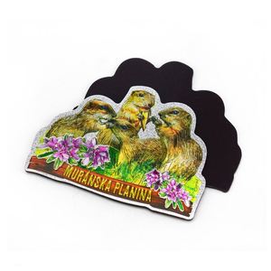 Imanes Promocionales de Metal con Diseño de Souvenirs de Jasna Chopok, Trencianske, Teplice, Eslovaquia, para Refrigerador - Product Image 5