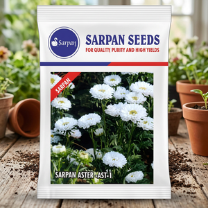 Semillas SARPAN HYBRID ASTER-AST-1 10g Blancas Producto de la India - Product Image 3