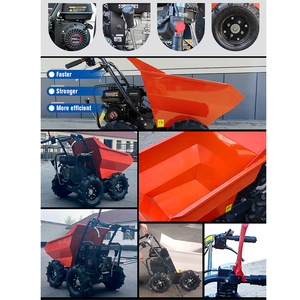 Carriola Agricola a Gas Autopropulsa con Motore da 6,5 CV e Capacità di 300 Kg, Mini Dumper per Fattoria - Product Image 4