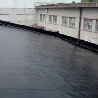 Primer Wasserdichte Beschichtungsfarbe für Dachleckagen-Abdichtung mit Bitumen-Flüssigrolle Wasserdichte Beschichtung