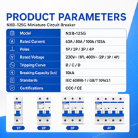 Disjoncteur AC NXB-125G B Curve 63A 80A 100A avec protection contre les surcharges pour circuits d'éclairage, prêt à l'emploi résidentiel
