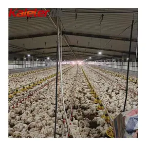 Broiler Automatic Feeder Auger System Breeding Houses Chicken Feeding Pan Line Complete Poultry Project Farm Equipment