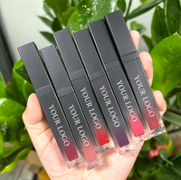 Rouge à lèvres liquide mat en velours longue durée pour femme pigmenté imperméable à l'eau tasse antiadhésive ingrédients minéraux maquillage sans décoloration