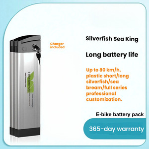 Alimentation électrique montée sur cadre de vélo de route et de montagne modifiée avec une <span class=keywords><strong>batterie</strong></span> au lithium longue portée légère de <span class=keywords><strong>48V</strong></span> 8ah - 35ah - Product Image 1