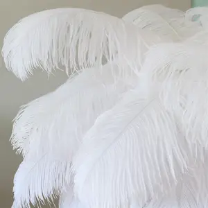 2yards White Turkey Feather Boa 60G Marabou Plumes Shawl Costume/Hat/party  Plume crafts Decoration Accessories