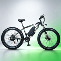 Bicicleta Eléctrica de Montaña de Alta Calidad a Precio de Fábrica, 36V 250W 500W, 26/29 Pulgadas, Bicicleta Eléctrica Económica, E-MTB