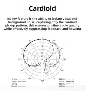 מיקרופון הקלטה קריוקי ML87 עם כניסת/יציאת XLR מותאמת אישית, המשמש באולפני הקלטות ובאולפנים. - Product Image 5