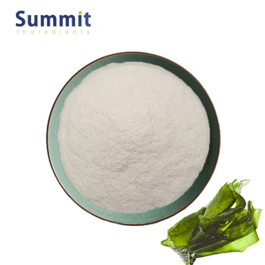 Hội nghị thượng đỉnh nhà máy cung cấp giá tốt nhất 95% Fucoidan tảo bẹ chiết xuất Fucoidan bột - Product Image 2