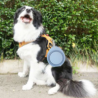Gamelles pliables en silicone imperméables pour chats et chiens - Gamelles de voyage écologiques et légères pour petits animaux