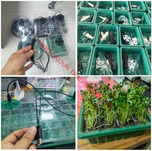 Garden <span class=keywords><strong>Nursery</strong></span> Plant Seed Grow vassoio coperchio 12 Cell germinazione piantina Starter Tray Kit con cupola coltiva la luce umidità regolabile - Product Image 6