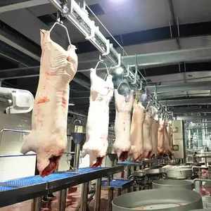 豚豚の種まき肉屋食肉処理場用の食肉処理ライン食肉処理装置1日あたり50100200豚最新デザイン