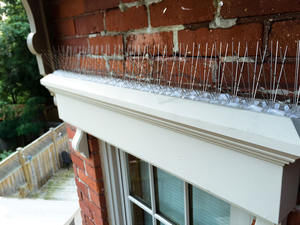 Nueva valla anti escalada pared Anti escalada disuasoria al aire libre plástico mejorado pequeña plaga anti gato palomas picos de pájaros - Product Image 4