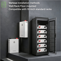Batería Dyness DL5.0F de Bajo Voltaje LiFePO4, 6000 Ciclos, Sistema de Almacenamiento de Energía Residencial Todo en Uno para Uso Doméstico