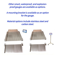 Balance de plateforme industrielle à rampe double détachable à LED, directement de l'usine, personnalisable OEM/ODM, en acier inoxydable 304
