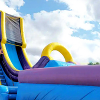 Château gonflable pour enfants et adultes, jeux gonflables aquatiques, toboggan aquatique géant gonflable, vente en gros d'usine