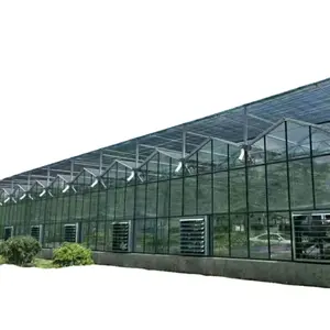 Customized Green House Equipment Agricultural Glass Sheet Greenhouse with Tomato Growing System Large Glass Hydroponics Glass