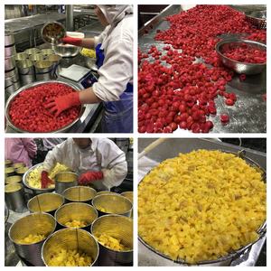 Cóctel de frutas enlatadas de alta calidad, proveedor de fábrica sabroso y fresco - Product Image 5