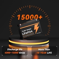 2-Pack Baterai Lithium LiFePO4 12V 100Ah Kelompok 31 dengan BMS 100A Terintegrasi, Perlindungan Suhu Rendah, 15000 Siklus Pengisian untuk RV, Kapal, dan Van