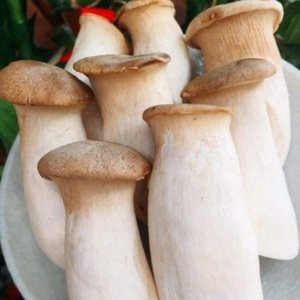 Prix d'usine pour les pleurotes cultivés surgelés pour des repas et des soupes sains - Product Image 2