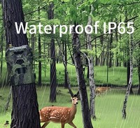 Suntekcam, новая HC-880Pro, 4G LTE, водонепроницаемая камера IP65, 30 Мп, трековая камера, 1080p бесплатно, 2K CMOS, облачный сервис для охоты