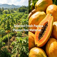 Voedingsmiddelkwaliteit Papain Enzym Poeder Papaya Extract Spraygedroogd Natuurlijk Vleesverzachtende Protease Enzym voor Bakkerij en Dranken