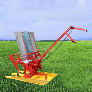 低价2排迷你手动插秧机手动水稻种植机 - Product Image 3