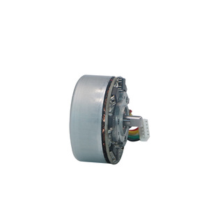 มอเตอร์ไร้แปรงถ่าน 4818 12V แบบโรเตอร์ภายนอก สำหรับปืนนวด รุ่น 36V พร้อมสายและขั้วต่อ - Product Image 3
