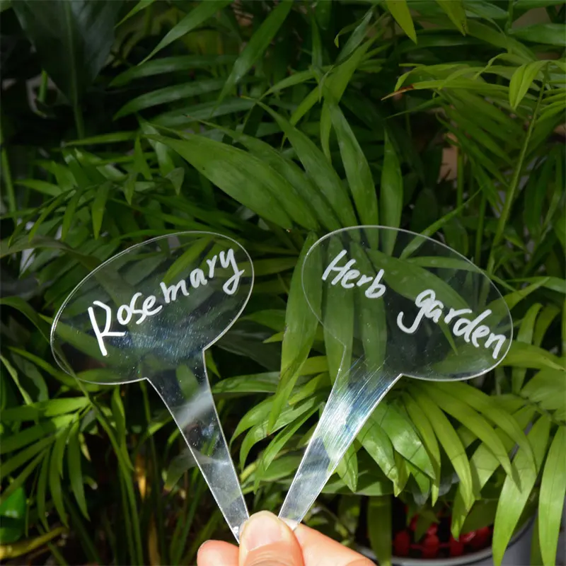 Funny Plant Markers Acrylic Vegetables Plant Labels for Indoor Outdoor Plants Garden Accessories