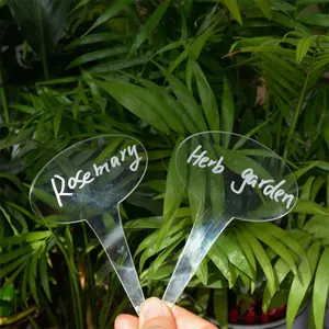 Grappige Plant Markers Acryl Groenten Plant Labels Voor Indoor Outdoor Planten Tuin Accessoires