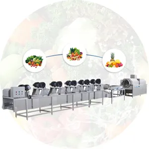 Good quality Vegetables washing machine industrial fruits and vegetable bubble washer drying processing line on sale