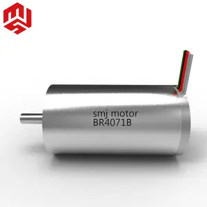 उच्च प्रदर्शन Maxon व्यास 40mm उच्च शक्ति 192W कम वोल्टेज Brushless मोटर