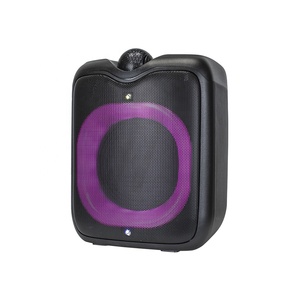 Mini altavoz de karaoke Bluetooth de 6,5 pulgadas con potente amplificador y bajo marca <span class=keywords><strong>NDR</strong></span> - Product Image 2