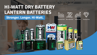 Baterai Alkaline Kering Silinder HW LR6 AA 1.5V Grosir untuk Remote Control, Senter, Mainan, Elektronik Konsumen