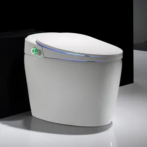 Automatic Ceramic Bathroom Wc Smart Toilet Canadian Standards Association Smart Toilet