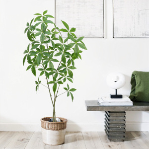 ต้นไม้ปลอมสำหรับตกแต่งในบ้านออฟฟิศต้นไม้เงินเทียมจาก5FT - Product Image 3