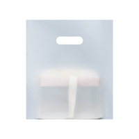 Sac d'emballage de boîte de gâteau de cuisson de dessert de pâtisserie de gâteau épaissie-sac transparent de boîte d'emballage de pizza à emporter jetable