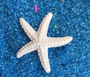 シミュレーション樹脂ヒトデ装飾品フラットカボションスライムチャーム家の装飾 - Product Image 6