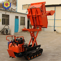 Taishan Niu Mini-Raupenbagger mit Dieselmotor, 500kg Kipplader, Frontlader, Getriebe, Motor, Hydraulikpumpe, niedriger Betriebsstundenzähler