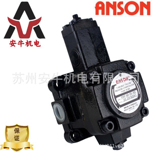 ปั๊มแวนคู่ Anson รุ่น VP55FD-A4-A4-50 ปั๊มไฮดรอลิกแบบหมุนทำจากเหล็กหล่อ ขับเคลื่อนด้วยไฟฟ้า - Product Image 4