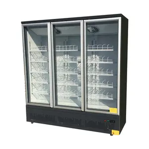 Congelatore per il supermercato 3 porte in posizione verticale del congelatore per auto congelatore