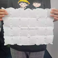 Máquina Profesional Personalizada para Empacar Almohadillas de Refrigeración, Paquetes de Hielo para Congelador, para el Transporte de Carne, Mariscos y Frutas, Mantiene la Frescura