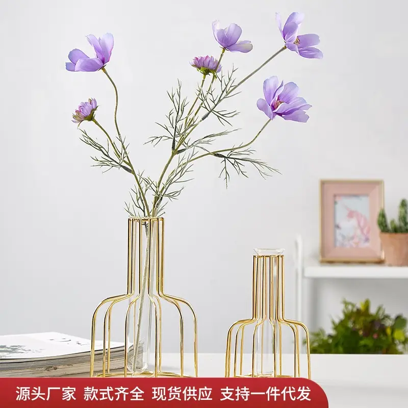 İskandinav tarzı ayırt edici cam şeffaf hidroponik vazo süsler Qingba Gong çay dükkanı depolama raf çiçek Arrangeme