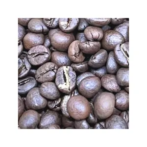 Rang Arabica đậu Đội ngũ chuyên nghiệp hạt cà phê bán buôn cà phê dịch vụ OEM màu xanh lá cây hạt cà phê Việt Nam