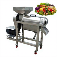 Machine d'extraction de jus de fruits à froid motorisée multifonctionnelle industrielle en acier inoxydable, capacité 100-2500 kg/h, 220V/380V